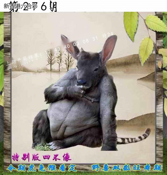 第2026276期精选图库 1318