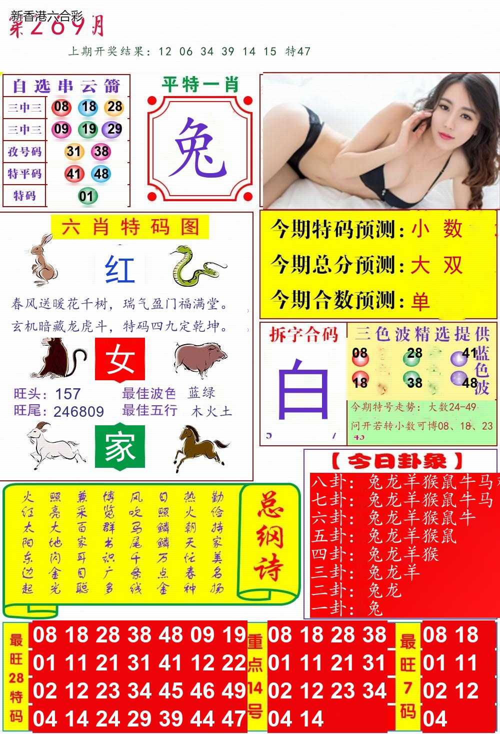第2026269期精选图库 1264