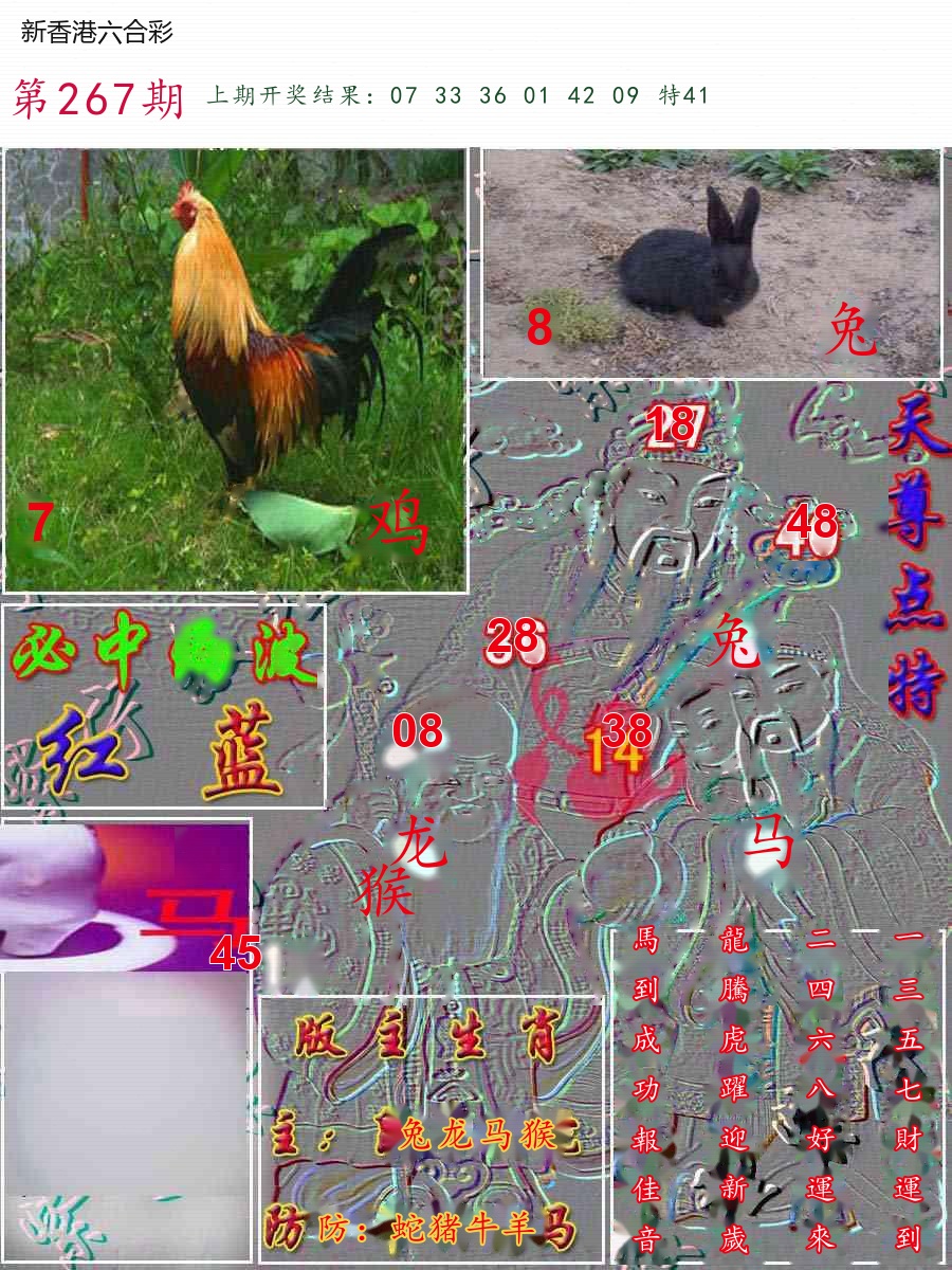 第2026267期精选图库 1351